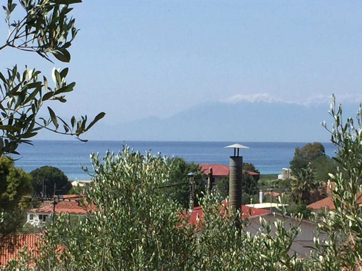 Sea View Villa In Olive Garden Nea Kallikrateia Экстерьер фото